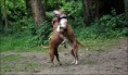/album/hayko/img-2163-jpg1/